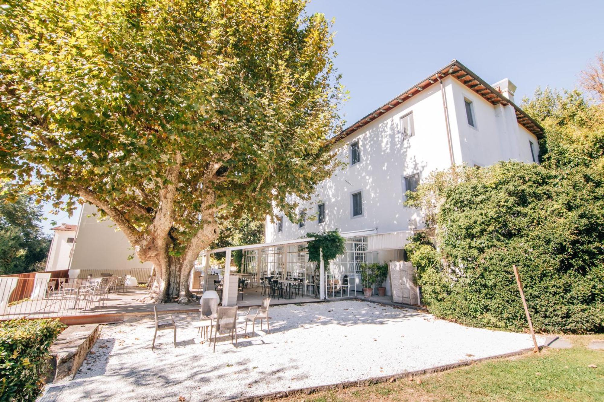 Villa La Bianca Camaiore Exteriér fotografie
