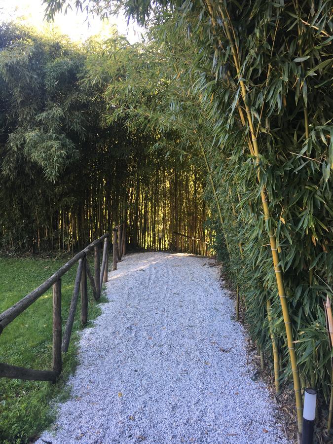 Villa La Bianca Camaiore Exteriér fotografie